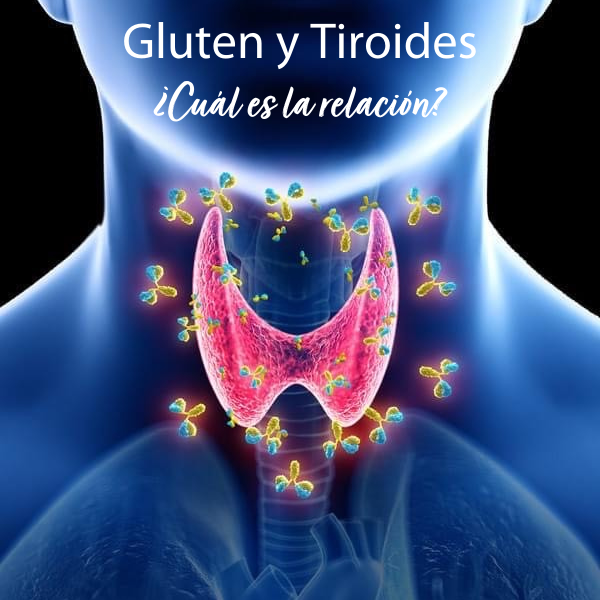 Gluten y Tiroides ¿Cuál es la relación?